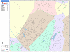 Lake Forest Digital Map Color Cast Style